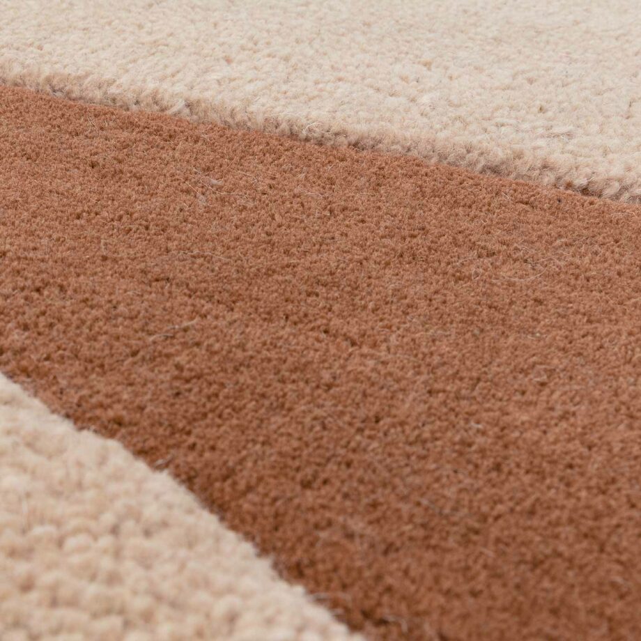 Asiatic carpet Canvas Collage 4